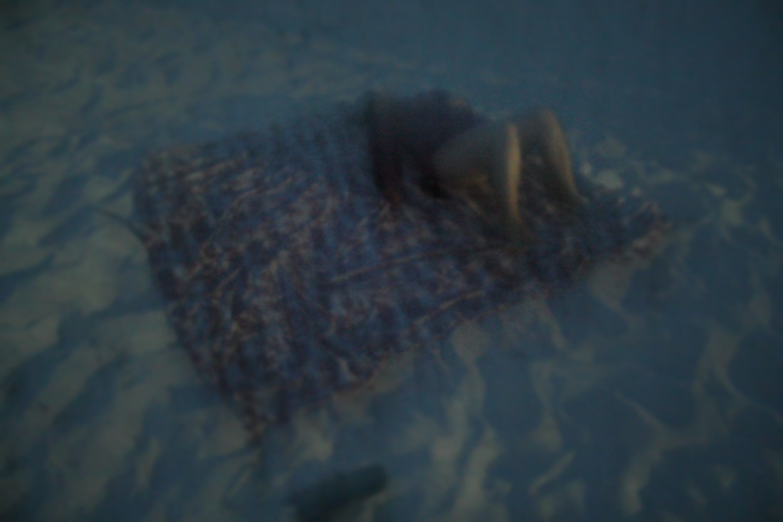 Memories of a summer